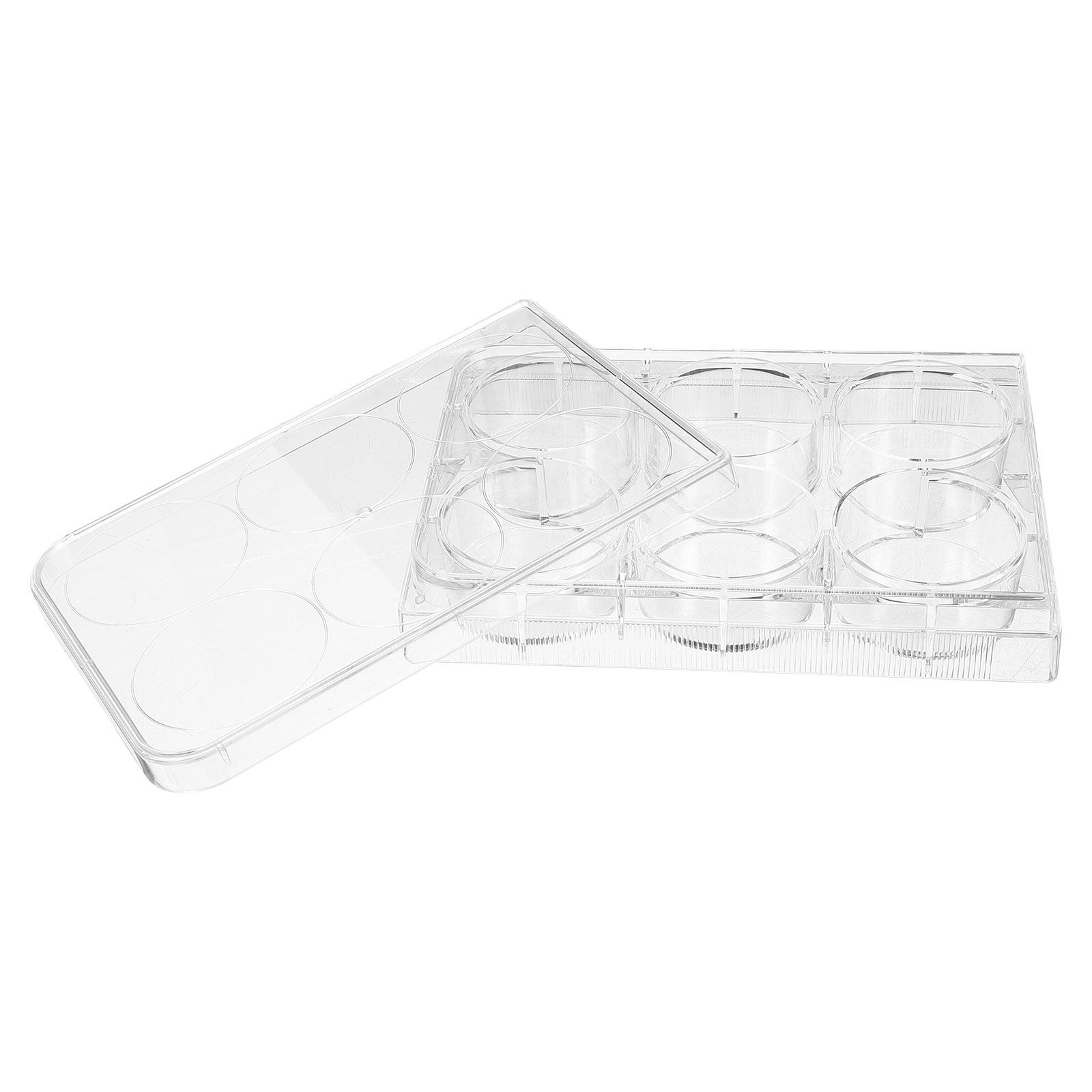 Lab Equipment - Tissue Culture Plate Lab Durable Practical