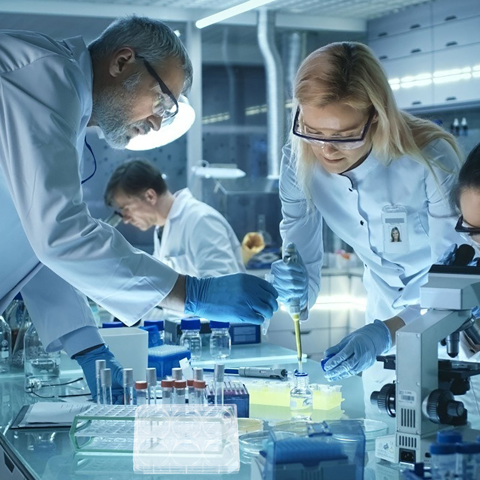 Tissue Culture Plate Lab Durab - Lab Equipment review and price