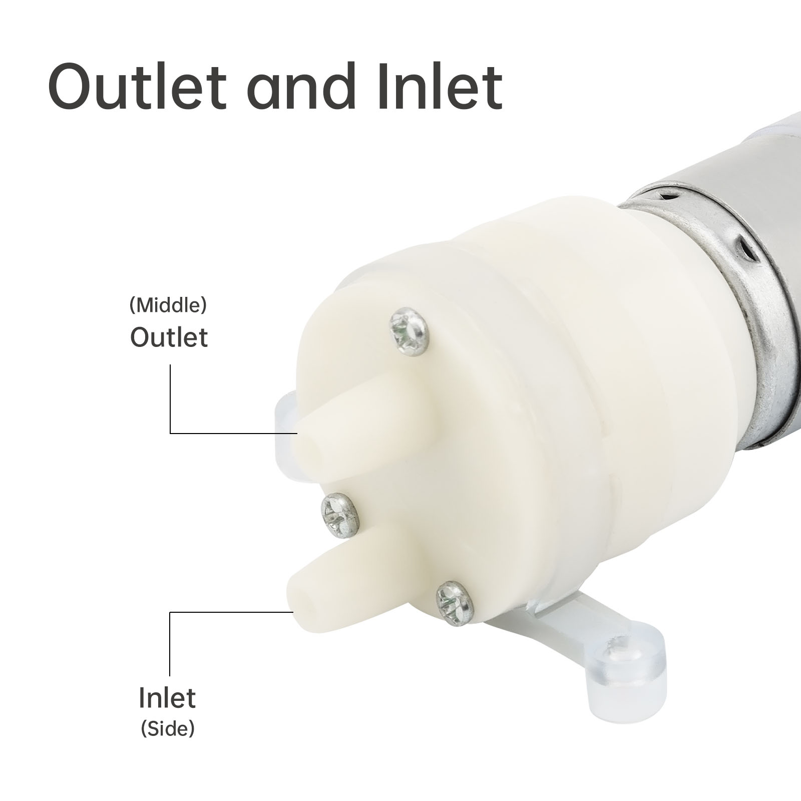 R365 Micro Water Pump Motor DC - Mini Peristaltic Pump 12V review and price